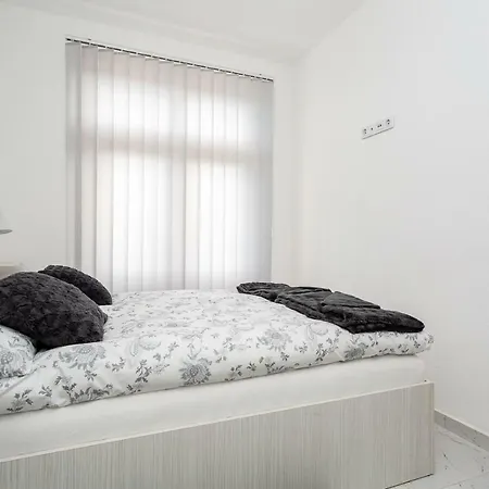Cirkovic - U Centru Sokobanje Guest house *