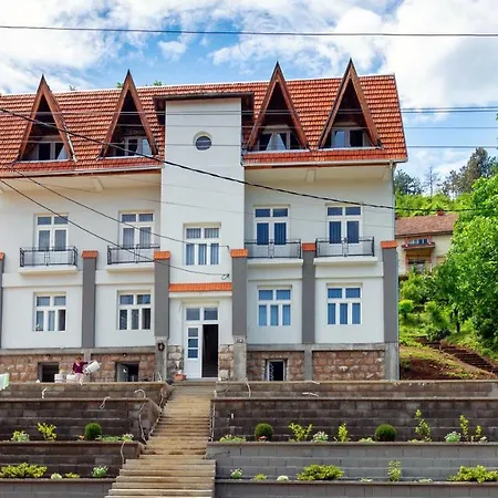 Cirkovic - U Centru Sokobanje