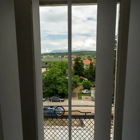Cirkovic - U Centru Sokobanje Guest house