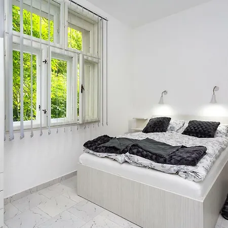 Cirkovic - U Centru Sokobanje Guest house