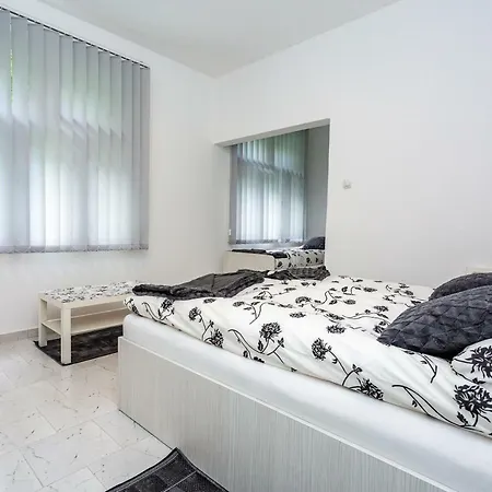 Cirkovic - U Centru Sokobanje Guest house