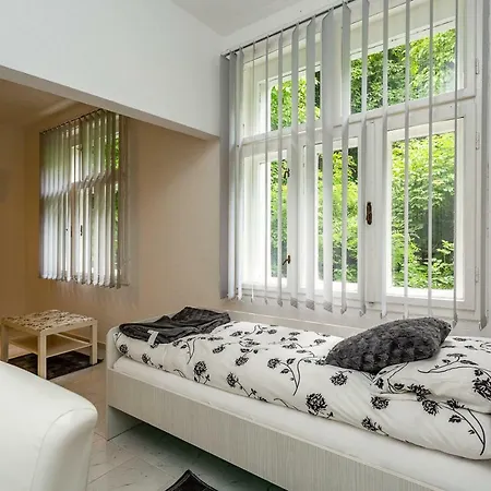 Cirkovic - U Centru Sokobanje 게스트하우스