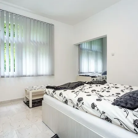 게스트하우스 Cirkovic - U Centru Sokobanje