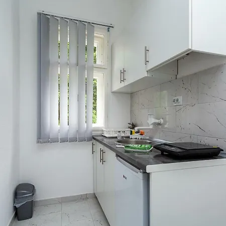 게스트하우스 Cirkovic - U Centru Sokobanje 소코 반자